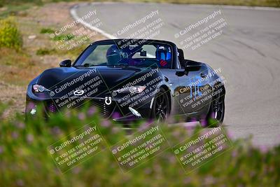 media/Mar-16-2024-Speed Ventures (Sat) [[b18ee68d62]]/Purple Group/Session 2 (The Bowl)/